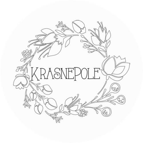 Krasne Pole Gospodarstwo Rolne Krasnopol エクステリア 写真